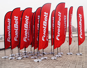 beach fiag300.jpg